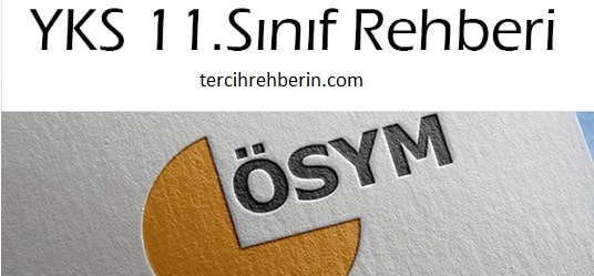 YKS 11. sınıf rehberi