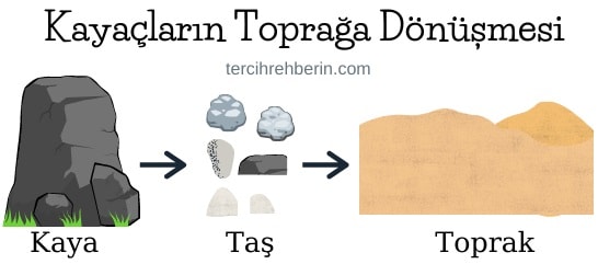 Kayaçlar nasıl toprağa dönüşür