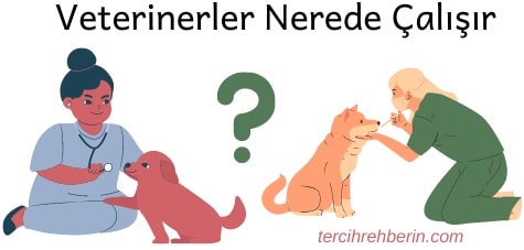 Veterinerler nerede çalışır
